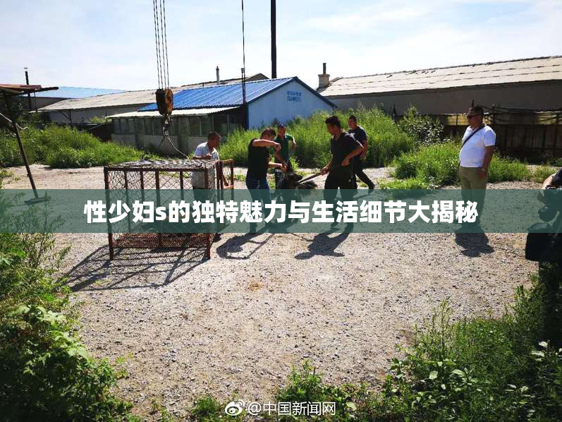 性少妇s的独特魅力与生活细节大揭秘