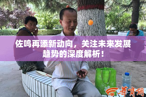 佐鸣再添新动向，关注未来发展趋势的深度解析！