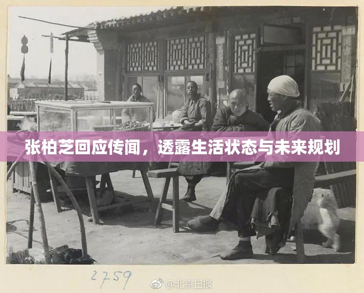 张柏芝回应传闻，透露生活状态与未来规划