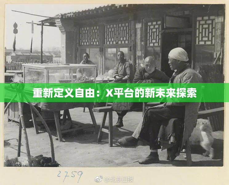 重新定义自由：X平台的新未来探索