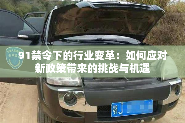 91禁令下的行业变革：如何应对新政策带来的挑战与机遇