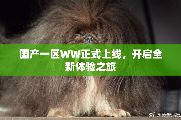 国产一区WW正式上线，开启全新体验之旅