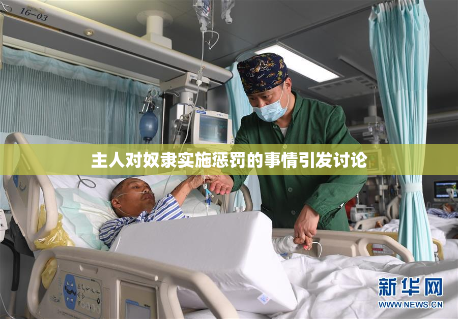 主人对奴隶实施惩罚的事情引发讨论