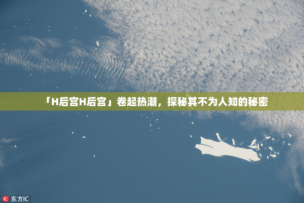 「H后宫H后宫」卷起热潮，探秘其不为人知的秘密