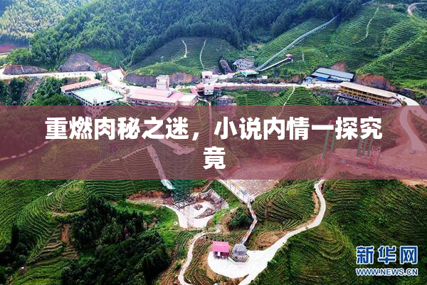 重燃肉秘之迷，小说内情一探究竟