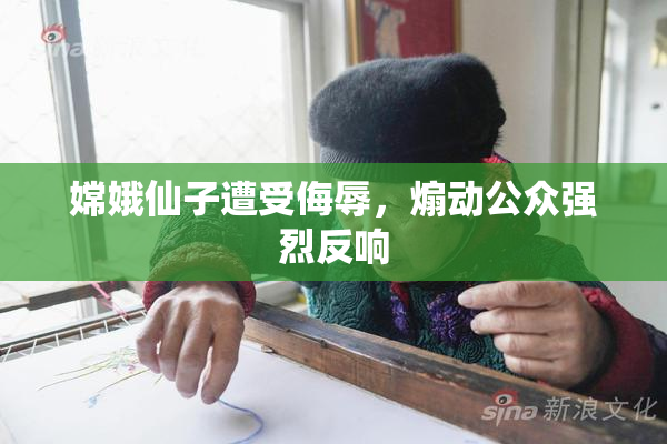 嫦娥仙子遭受侮辱，煽动公众强烈反响