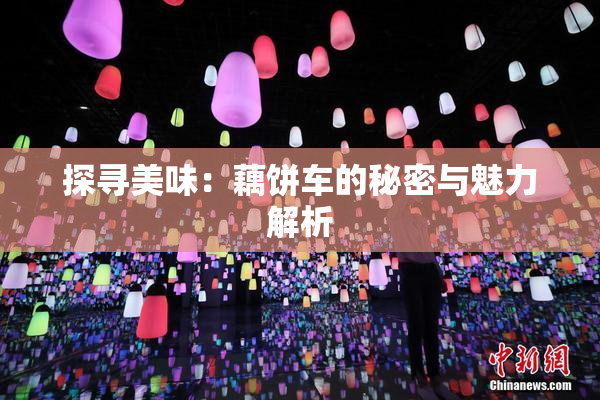 探寻美味：藕饼车的秘密与魅力解析