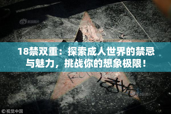 18禁双重：探索成人世界的禁忌与魅力，挑战你的想象极限！