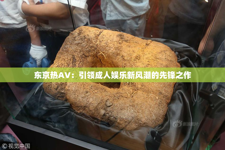 东京热AV：引领成人娱乐新风潮的先锋之作