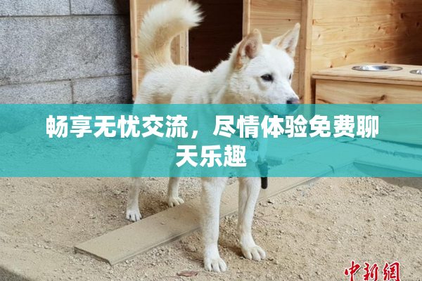畅享无忧交流，尽情体验免费聊天乐趣