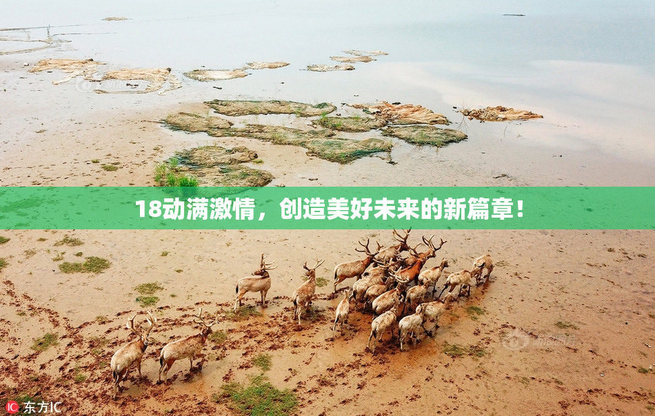 18动满激情，创造美好未来的新篇章！