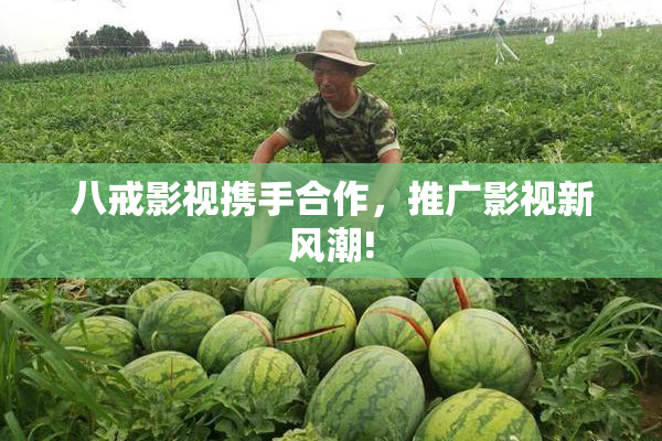 八戒影视携手合作，推广影视新风潮!