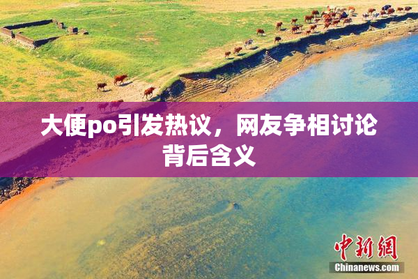 大便po引发热议，网友争相讨论背后含义