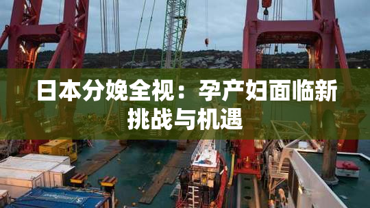 日本分娩全视：孕产妇面临新挑战与机遇