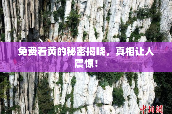 免费看黄的秘密揭晓，真相让人震惊！