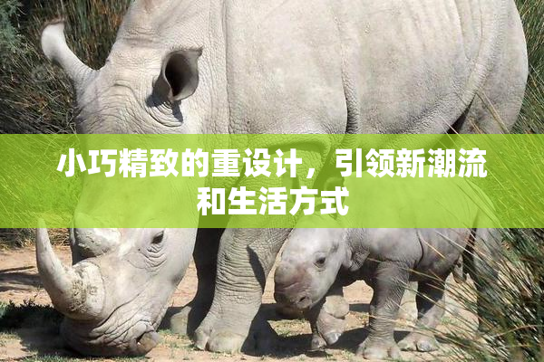 小巧精致的重设计，引领新潮流和生活方式