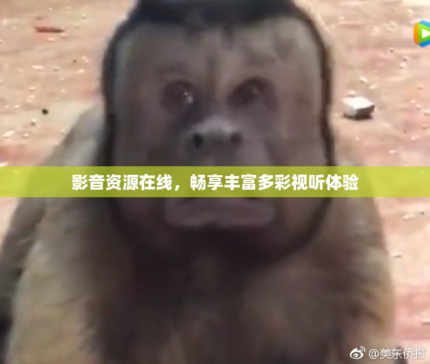 影音资源在线，畅享丰富多彩视听体验