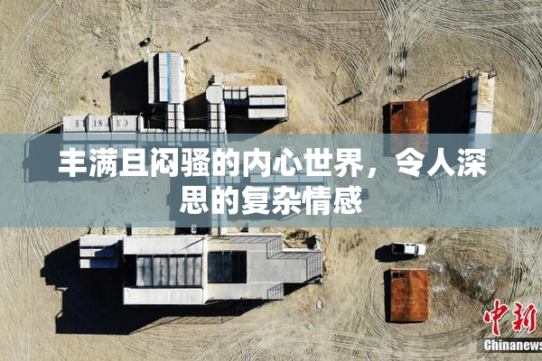 丰满且闷骚的内心世界，令人深思的复杂情感