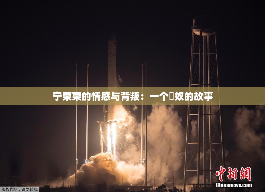 宁荣荣的情感与背叛：一个婬奴的故事