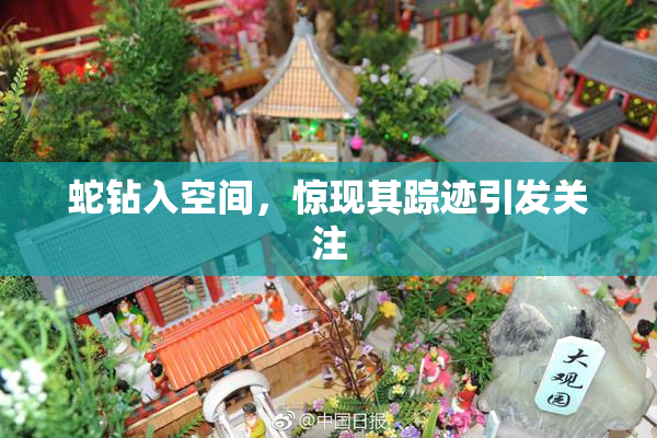 蛇钻入空间，惊现其踪迹引发关注