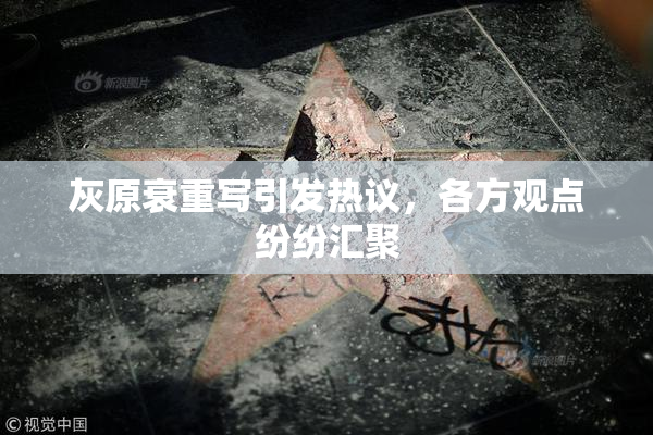 灰原衰重写引发热议，各方观点纷纷汇聚