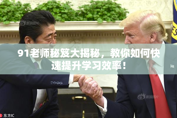 91老师秘笈大揭秘，教你如何快速提升学习效率！