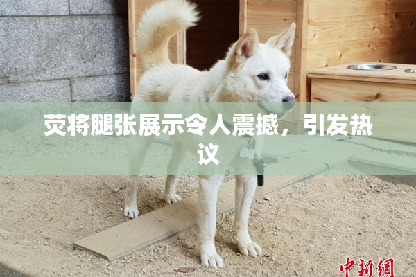 荧将腿张展示令人震撼，引发热议