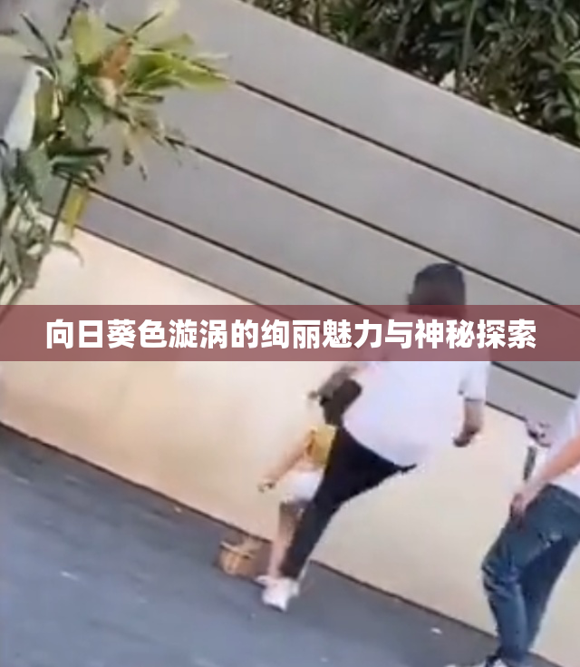 向日葵色漩涡的绚丽魅力与神秘探索
