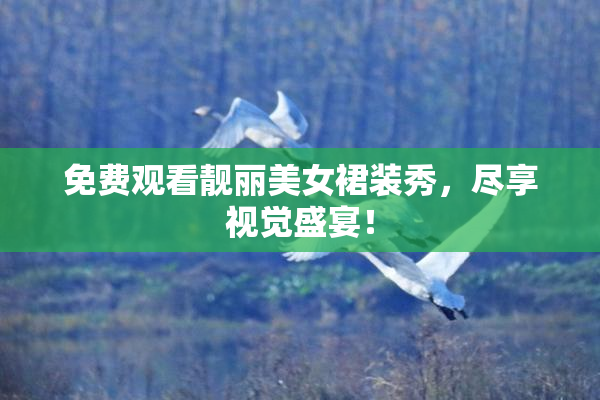 免费观看靓丽美女裙装秀，尽享视觉盛宴！