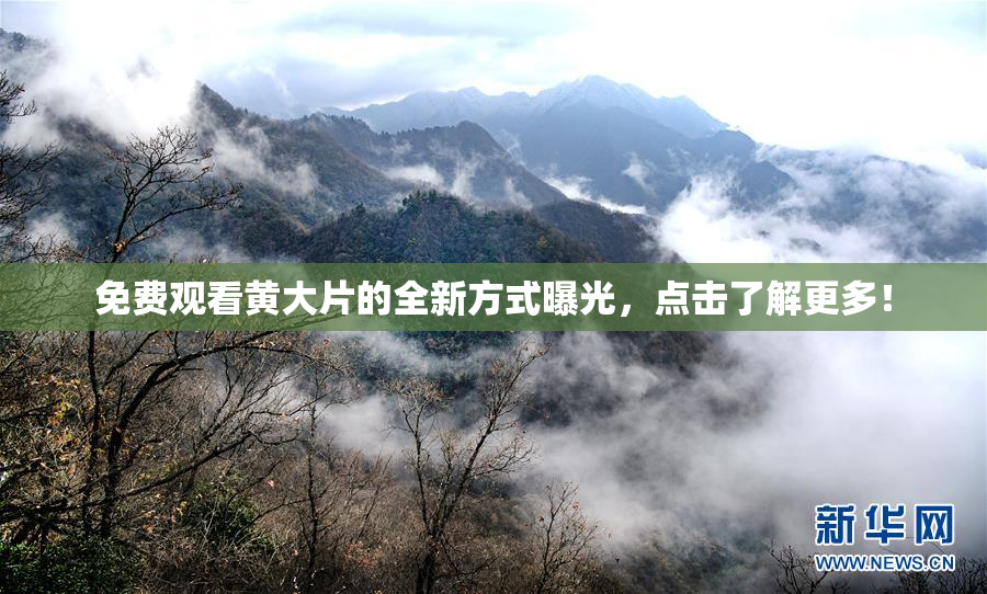 免费观看黄大片的全新方式曝光，点击了解更多！