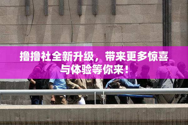 撸撸社全新升级，带来更多惊喜与体验等你来！