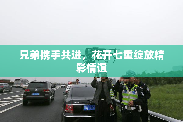 兄弟携手共进，花开七重绽放精彩情谊