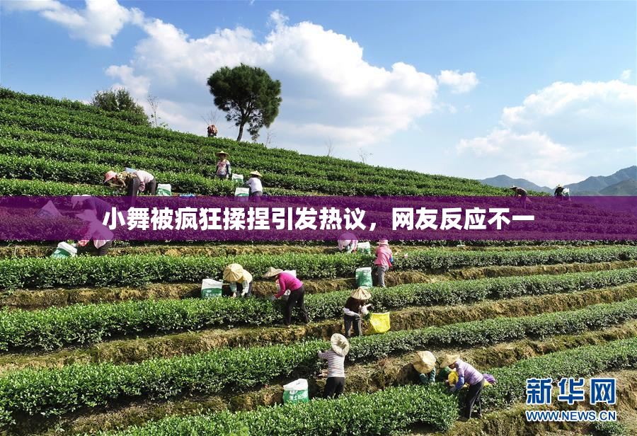 小舞被疯狂揉捏引发热议，网友反应不一