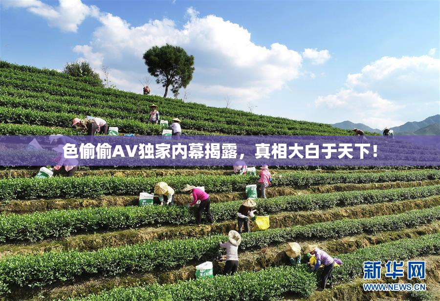 色偷偷AV独家内幕揭露，真相大白于天下！