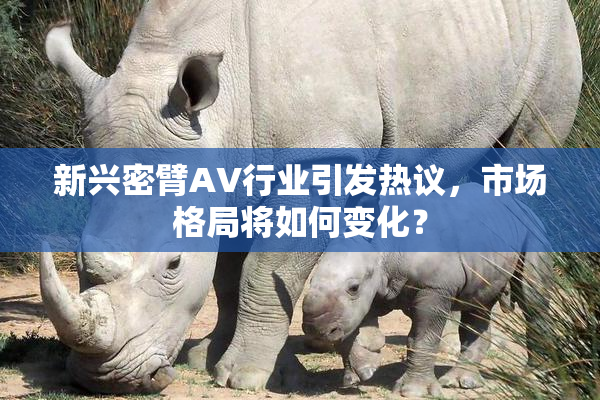 新兴密臂AV行业引发热议，市场格局将如何变化？