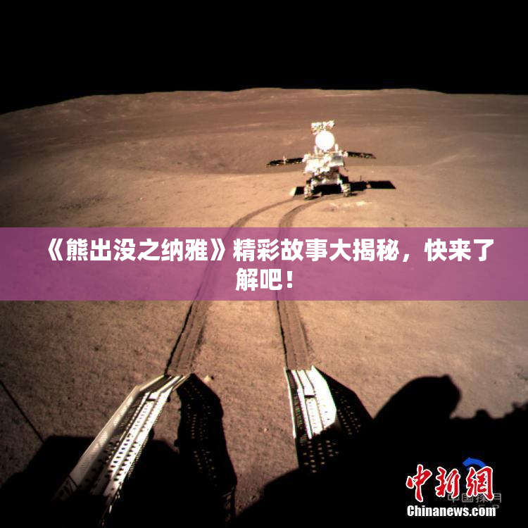 《熊出没之纳雅》精彩故事大揭秘，快来了解吧！