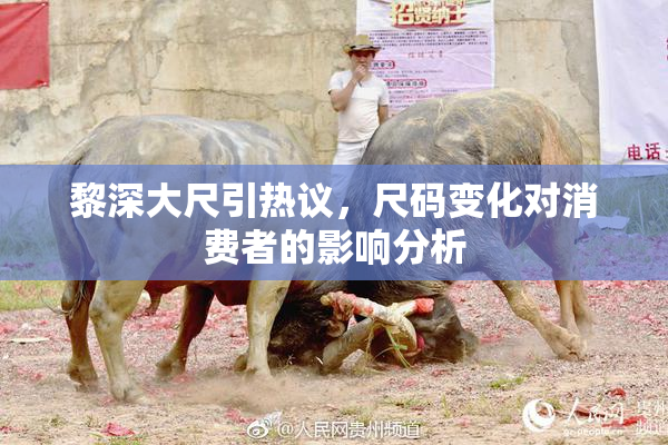 黎深大尺引热议，尺码变化对消费者的影响分析