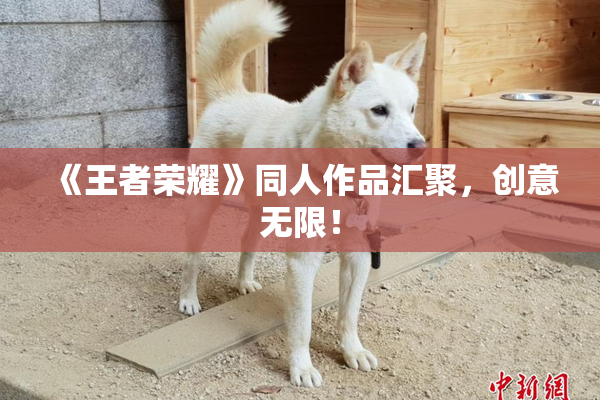 《王者荣耀》同人作品汇聚，创意无限！