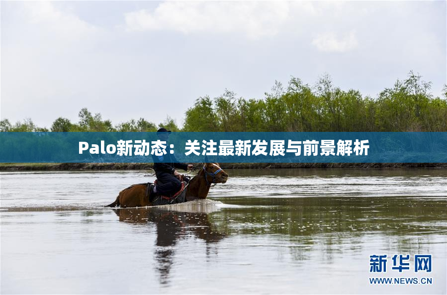 Palo新动态：关注最新发展与前景解析