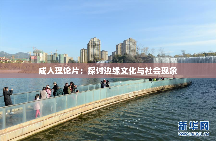 成人理论片：探讨边缘文化与社会现象