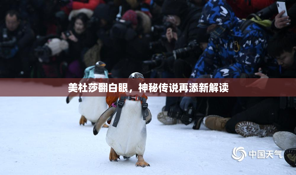 美杜莎翻白眼，神秘传说再添新解读