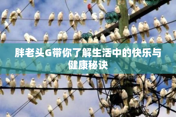 胖老头G带你了解生活中的快乐与健康秘诀