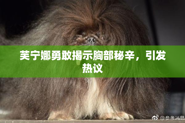 芙宁娜勇敢揭示胸部秘辛，引发热议