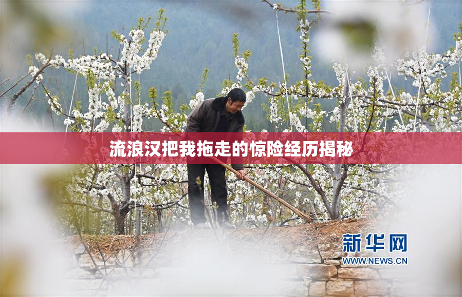 流浪汉把我拖走的惊险经历揭秘