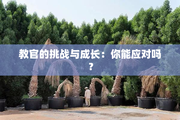 教官的挑战与成长：你能应对吗？