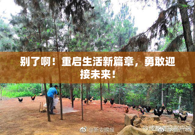 别了啊！重启生活新篇章，勇敢迎接未来！