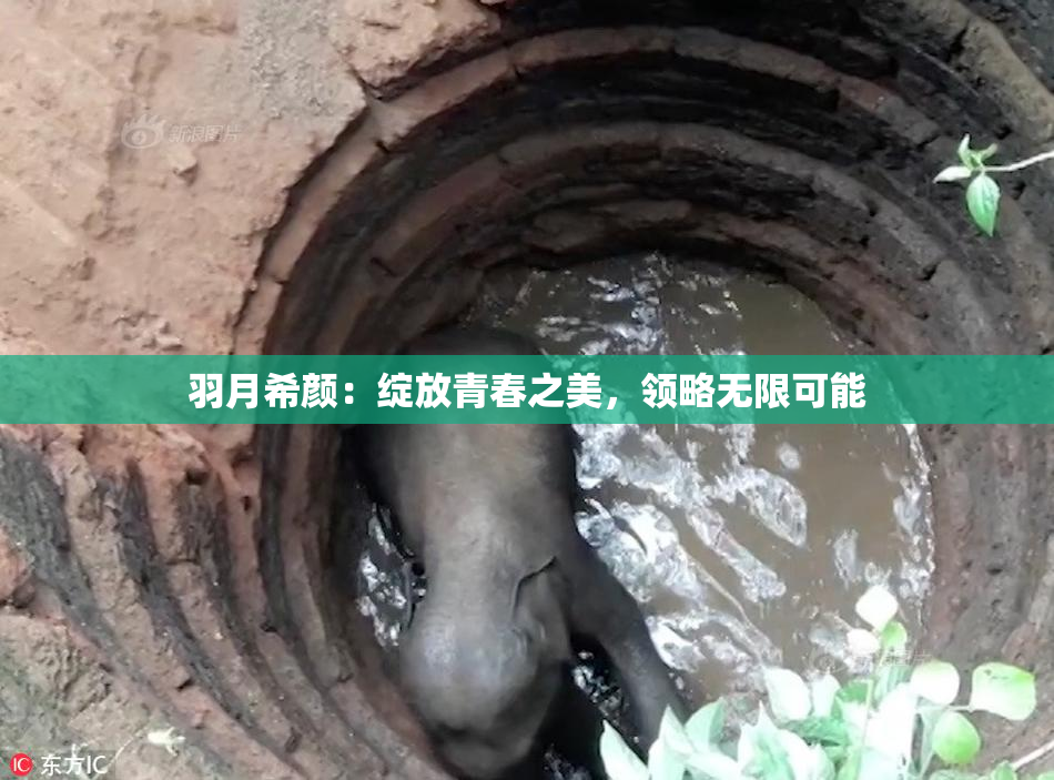 羽月希颜：绽放青春之美，领略无限可能