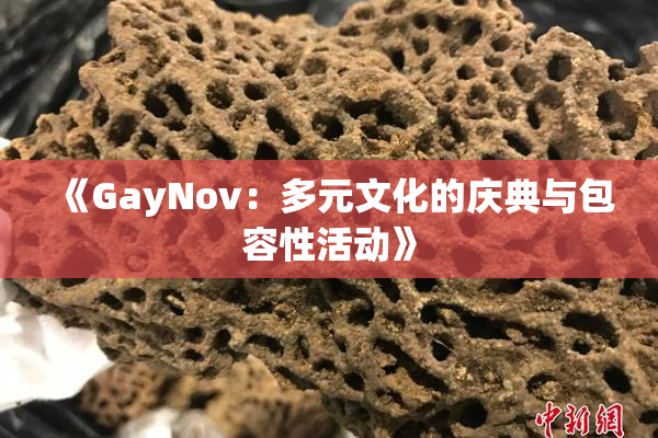 《GayNov：多元文化的庆典与包容性活动》