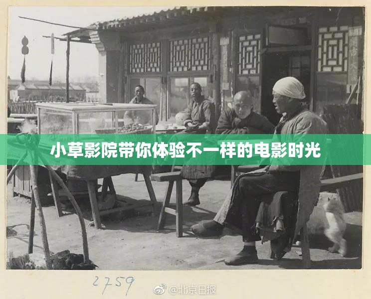 小草影院带你体验不一样的电影时光