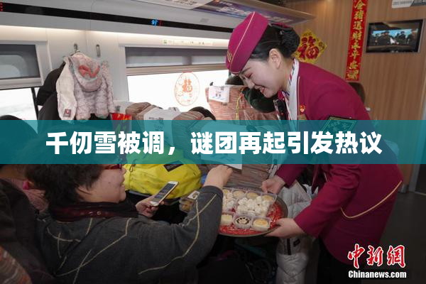 千仞雪被调，谜团再起引发热议